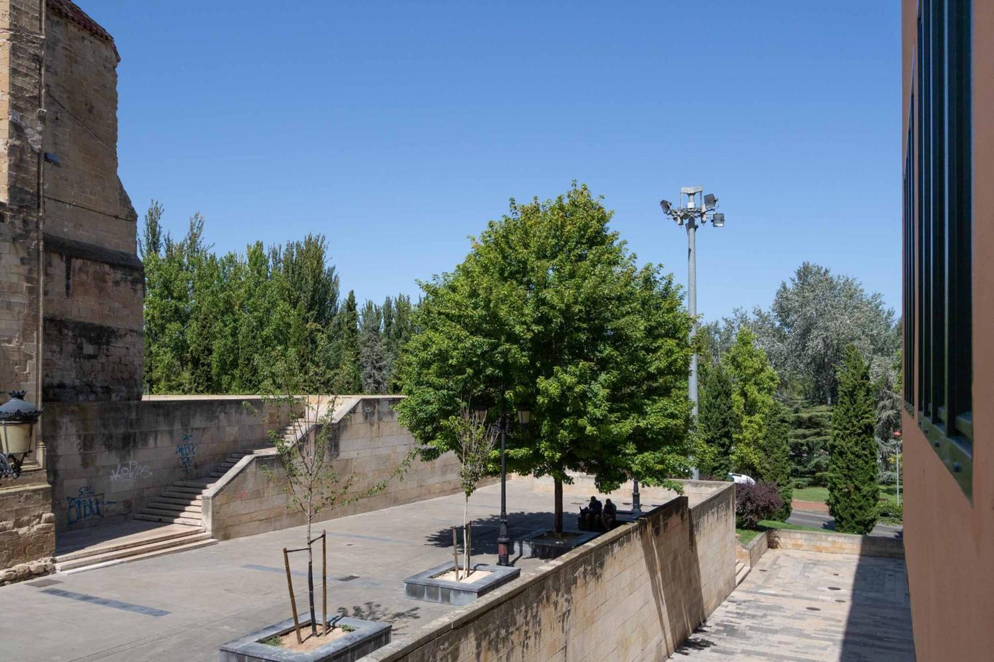 Appartement Daniela's Lovely Aire Y Wifi By